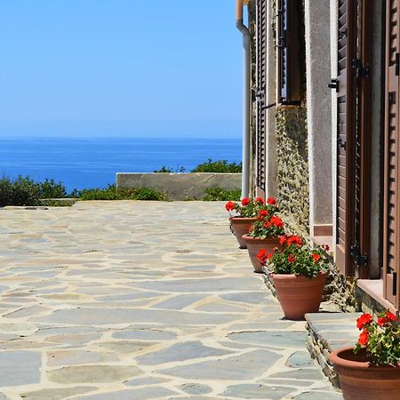 Agriturismo Finagliosu Пальмадула Экстерьер фото